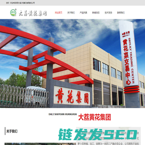 陕西大荔沙苑黄花有限责任公司