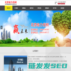 北京给力伐树