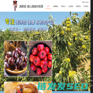 有机板栗