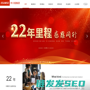 中国中小企业投资集团股份有限公司
