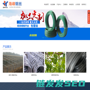 镀锌钢丝
