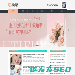 荔枝美科技