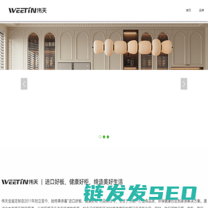 WEETIN伟天
