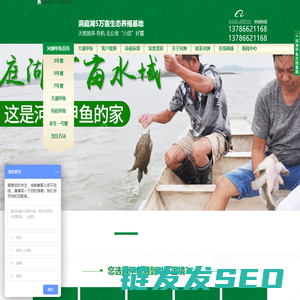 甲鱼