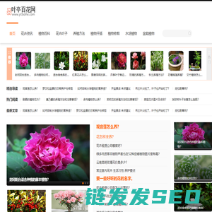 叶亭百花网