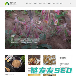 我爱中药网