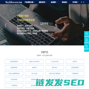 重庆网站建设公司