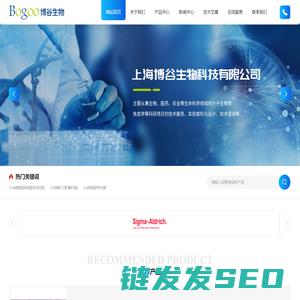 小动物脑部核磁MRI扫描