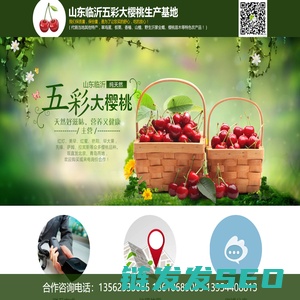 山东临沂五彩大樱桃批发