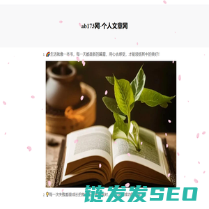 173软件站