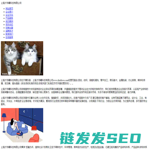 上海才浩曦科技有限公司