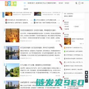 华艺号