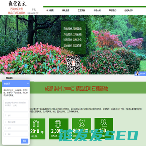 观蒙花木有限公司