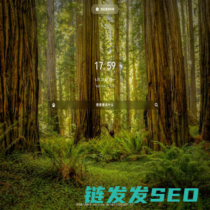 邵阳晨飞科技