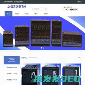 专业温度控制仪