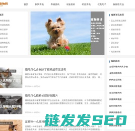 比特宠物吧