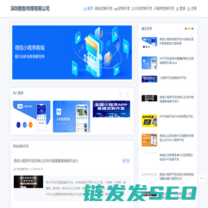 深圳数智传媒有限公司