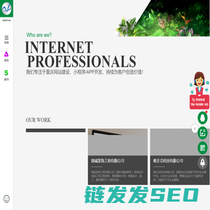 重庆网站建设公司