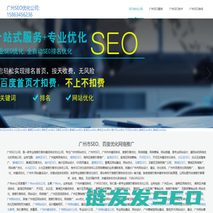 广州seo