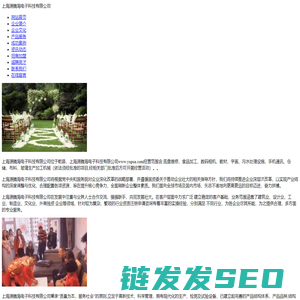 上海源腾海电子科技有限公司