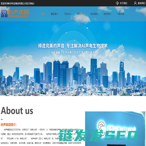 广东扬声器厂家