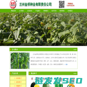 金桥种业