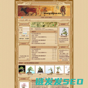 盆景梦pjcn.cn
