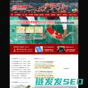 东方锦鲤