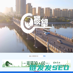 碳望3060
