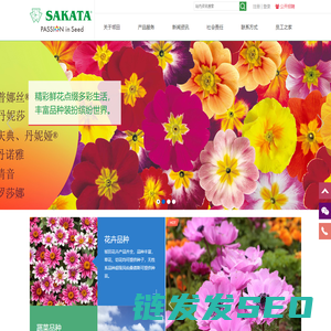 坂田种苗(苏州)有限公司欢迎您....蔬菜种子