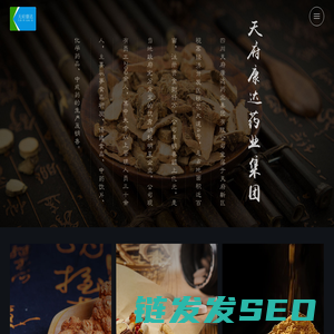 四川天府康达药业集团府庆制药有限公司