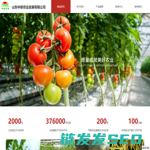 山东中新农业发展有限公司