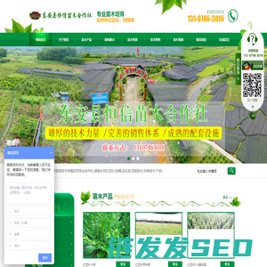 东安县恒信苗木种植农民专业合作社