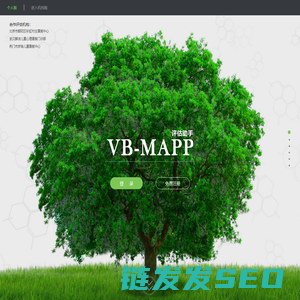 VB