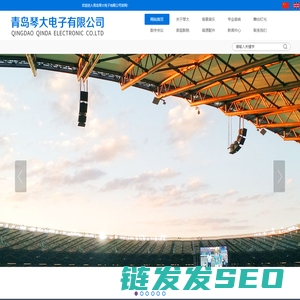 青岛琴大电子有限公司