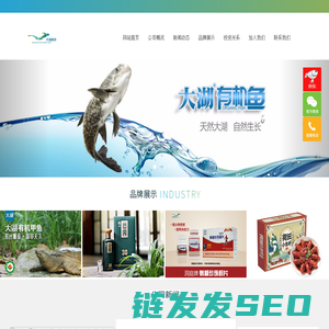 大湖股份