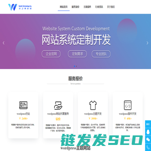 网站开发定制