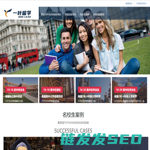 一叶永青国际教育