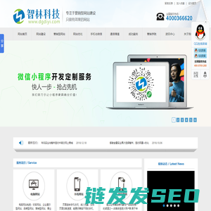 东莞网络公司