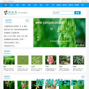 植物百科