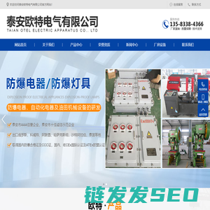 泰安欧特电气有限公司