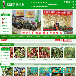 成都天府新区宗富水果种植专业合作社
