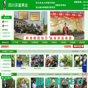 成都天府新区宗富水果种植专业合作社