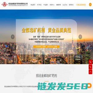 招远金都选矿药剂有限责任公司