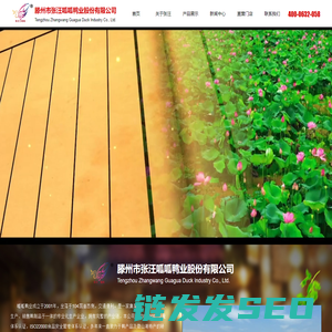 滕州市张汪呱呱鸭业股份有限公司