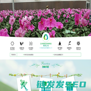 伽云JoinSaas