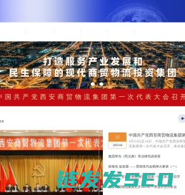 西安商贸物流集团