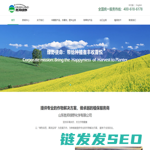 山东胜邦绿野化学有限公司