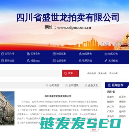 四川省盛世龙拍卖有限公司