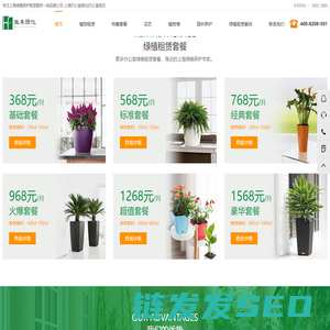 上海花卉租赁